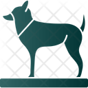 پیش‌نمایش فایل dog-8256255 از پک Vikings
