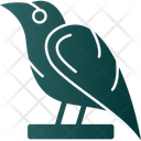 پیش‌نمایش فایل raven-8256289 از پک Vikings