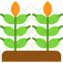 پیش‌نمایش فایل autumn-8297010 از پک باغبانی