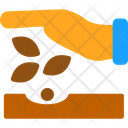 آیکن