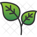 پیش‌نمایش فایل leaf-8310262 از پک ماقبل تاریخ
