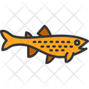 پیش‌نمایش فایل brown-trout-8433910 از پک ماهیگیری
