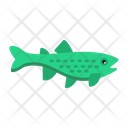 پیش‌نمایش فایل brown-trout-8434157 از پک ماهیگیری