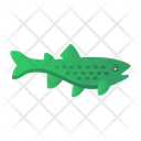 پیش‌نمایش فایل brown-trout-8434259 از پک ماهیگیری