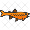 پیش‌نمایش فایل brown-trout-8434303 از پک ماهیگیری