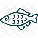 پیش‌نمایش فایل carp-8434563 از پک ماهیگیری