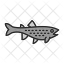 پیش‌نمایش فایل brown-trout-8435673 از پک ماهیگیری