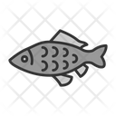 پیش‌نمایش فایل carp-8435681 از پک ماهیگیری