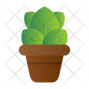 پیش‌نمایش فایل grow-8443245 از پک غذا خیابان