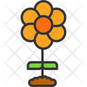 پیش‌نمایش فایل flower-8446698 از پک پذیرایی