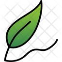پیش‌نمایش فایل compose-8477664 از پک ادبیات