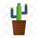 پیش‌نمایش فایل cactus-8491455 از پک محیط کار