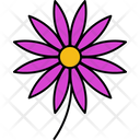 پیش‌نمایش فایل aster-9323029 از پک گل‌ها