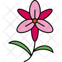 پیش‌نمایش فایل bloom-9323037 از پک گل‌ها