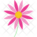 پیش‌نمایش فایل aster-9323184 از پک گل‌ها