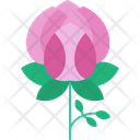 پیش‌نمایش فایل bloom-9323191 از پک گل‌ها