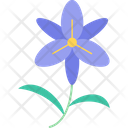 پیش‌نمایش فایل bloom-9323192 از پک گل‌ها