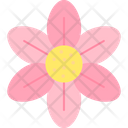 پیش‌نمایش فایل blossom-9323195 از پک گل‌ها
