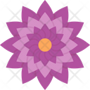 پیش‌نمایش فایل blossom-9323196 از پک گل‌ها
