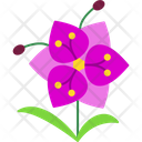 پیش‌نمایش فایل blossom-9323197 از پک گل‌ها