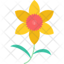 پیش‌نمایش فایل chrysanthemum-9323202 از پک گل‌ها