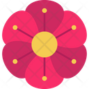 پیش‌نمایش فایل flower-9323214 از پک گل‌ها