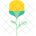 پیش‌نمایش فایل pineappleweed-9323218 از پک گل‌ها