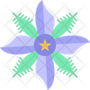 پیش‌نمایش فایل starflower-9323219 از پک گل‌ها