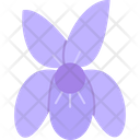 پیش‌نمایش فایل violet-9323223 از پک گل‌ها