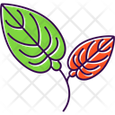 پیش‌نمایش فایل anthurium-9323279 از پک گل‌ها