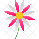 پیش‌نمایش فایل aster-9323284 از پک گل‌ها