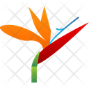 پیش‌نمایش فایل bird-of-paradise-9323289 از پک گل‌ها
