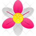پیش‌نمایش فایل blossom-9323295 از پک گل‌ها