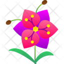 پیش‌نمایش فایل blossom-9323297 از پک گل‌ها