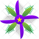 پیش‌نمایش فایل starflower-9323319 از پک گل‌ها