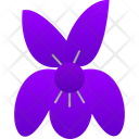 پیش‌نمایش فایل violet-9323323 از پک گل‌ها