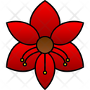 پیش‌نمایش فایل amaryllis-9323404 از پک گل‌ها