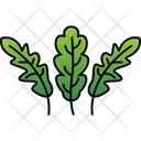 پیش‌نمایش فایل arugula-9323360 از پک گل‌ها