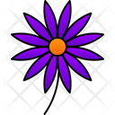 پیش‌نمایش فایل aster-9323361 از پک گل‌ها