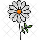 پیش‌نمایش فایل beautiful-9323363 از پک گل‌ها