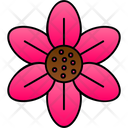 پیش‌نمایش فایل blossom-9323372 از پک گل‌ها