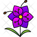 پیش‌نمایش فایل blossom-9323374 از پک گل‌ها