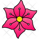 پیش‌نمایش فایل chrysanthemum-9323378 از پک گل‌ها
