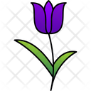 پیش‌نمایش فایل color-9323380 از پک گل‌ها