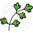 پیش‌نمایش فایل coriander-9323382 از پک گل‌ها