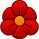 پیش‌نمایش فایل nasturtium-9323393 از پک گل‌ها