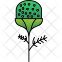 پیش‌نمایش فایل pineappleweed-9323395 از پک گل‌ها