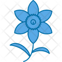 پیش‌نمایش فایل chrysanthemum-9323481 از پک گل‌ها