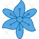 پیش‌نمایش فایل flower-9323491 از پک گل‌ها