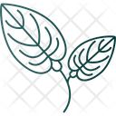 پیش‌نمایش فایل anthurium-9323510 از پک گل‌ها
